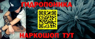 индика Шелехов